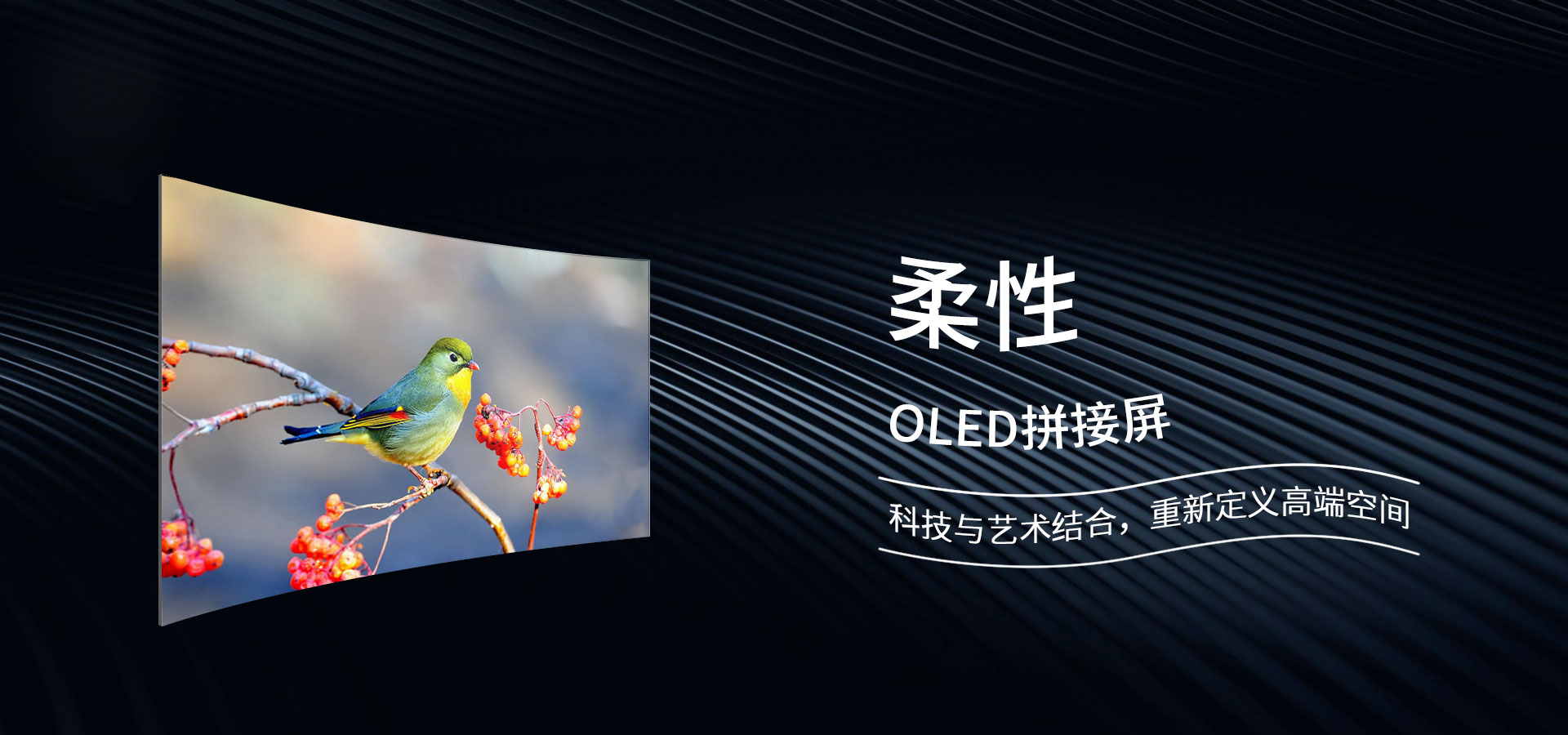 OLED柔性屏